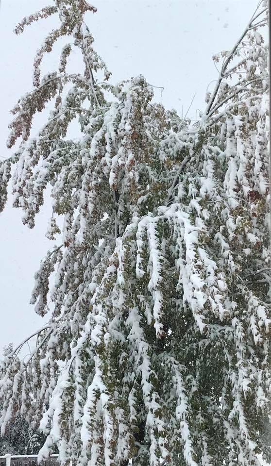 Snow, 10/14